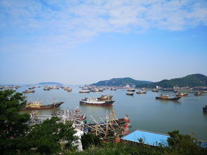 戒糖 減脂 在臺州,不存在的